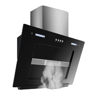 Wall-mounted flat hood