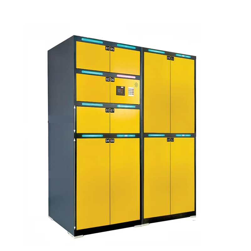 Large compartment baggage storage lockers